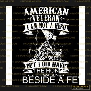 American Veteran I Am Not A Hero DTF Design SVG PNG DXF