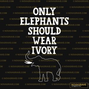 A Black And White Elephant With The Words Onl Animals Wildlife - Design DTF