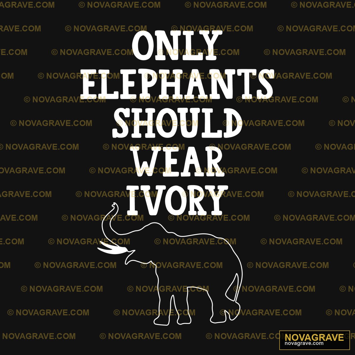 A Black And White Elephant With The Words Onl Animals Wildlife - Design DTF