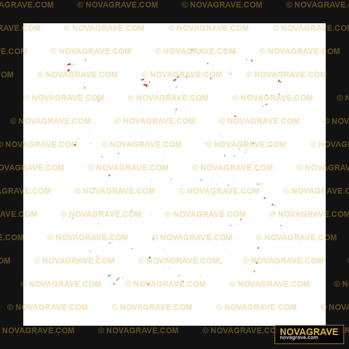 A Black Background With A Lot Of Red And Gree Other Designs - DTF Ontwerp