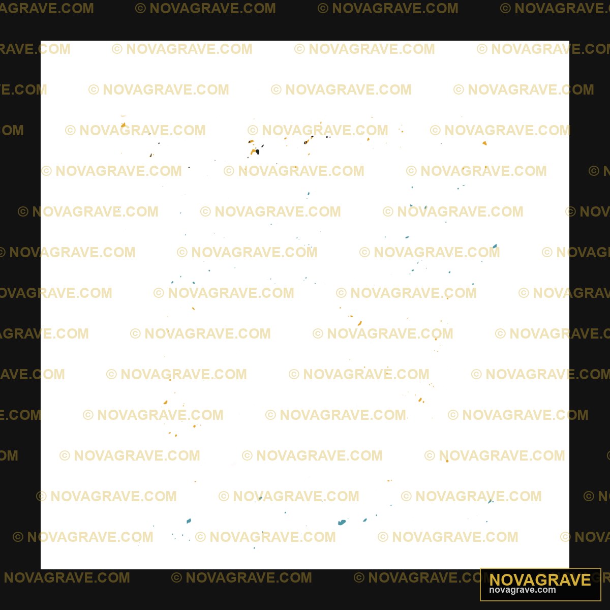 A Black Background With A Lot Of Small Stars Animals Wildlife 4 - Design DTF