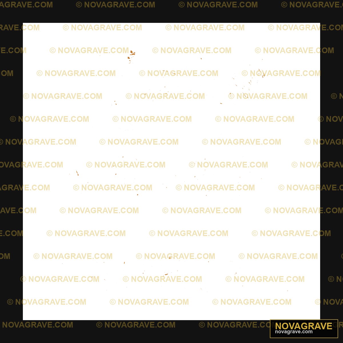 A Black Background With A Lot Of Small Stars Nature Botanical 15 - Design DTF