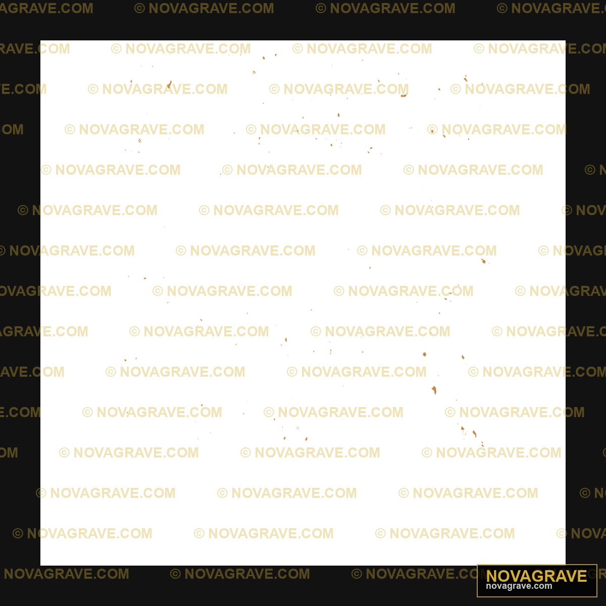 A Black Background With A Lot Of Small Stars Nature Botanical 5 2 - DTF Transfer Design