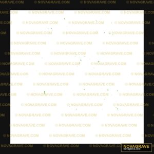 A Black Background With A Lot Of Stars Nature Botanical 13 - Design DTF