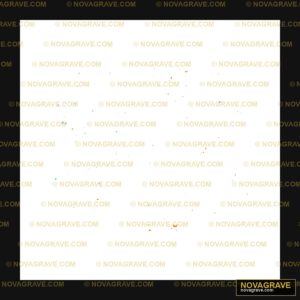 A Black Background With A Lot Of Stars Nature Botanical 2 - DTF Ontwerp