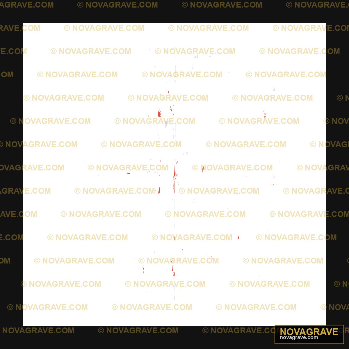 A Black Background With A Red And White Patte Other Designs 2 - Design DTF