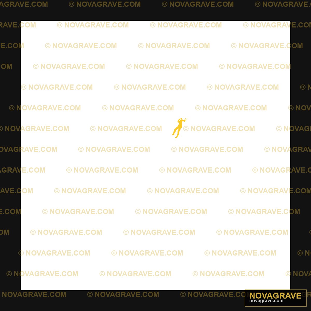 A Black Background With A Yellow Kite Other Designs - Design DTF