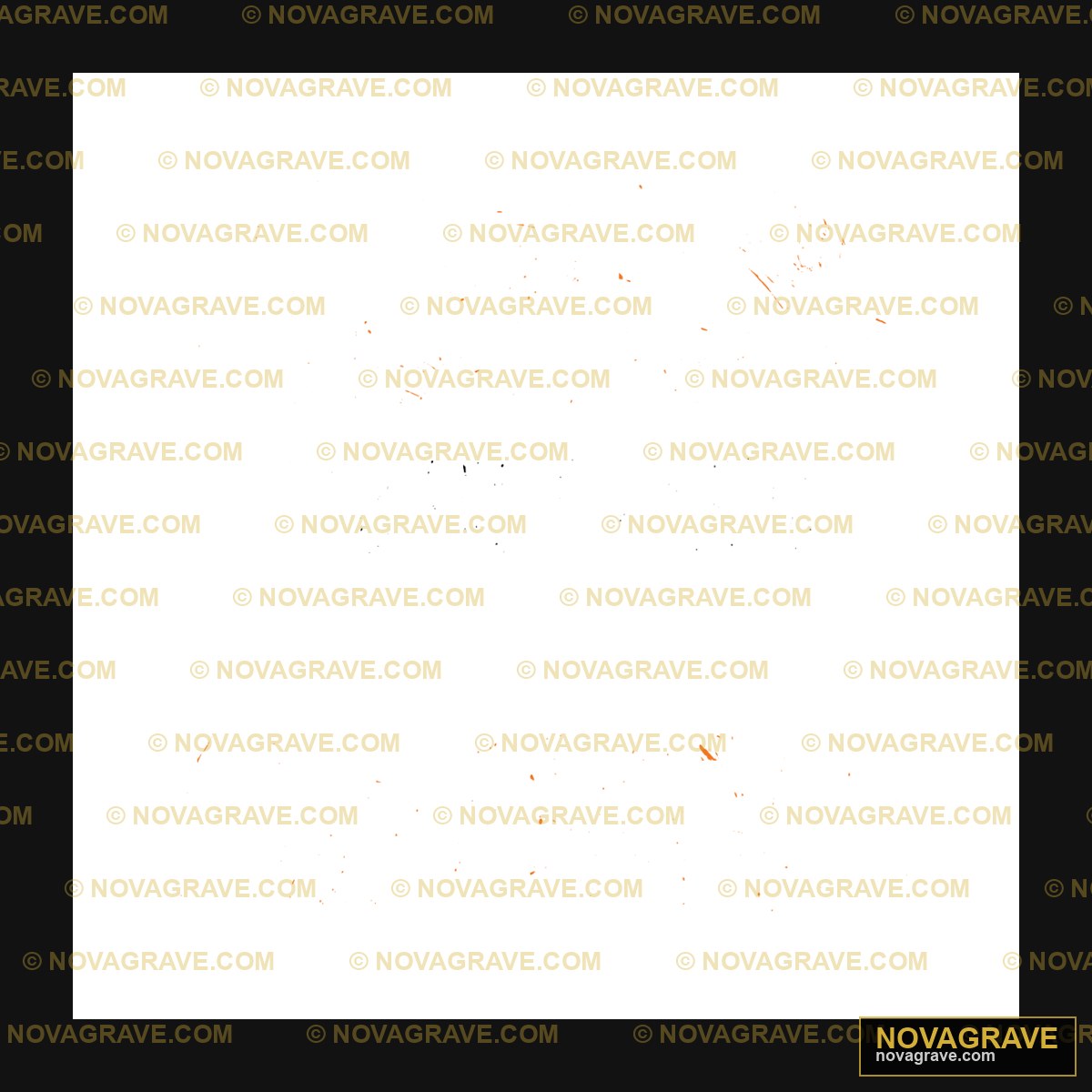 A Black Background With Orange And White Spot Family Kids - Design DTF