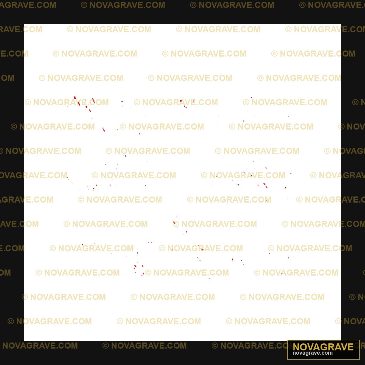 A Black Sky With A Few Red Dots Seasonal Holiday - Design DTF