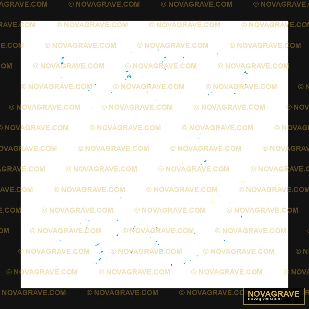 A Black Sky With A Few Small Stars Nature Botanical 27 - DTF Transfer Design