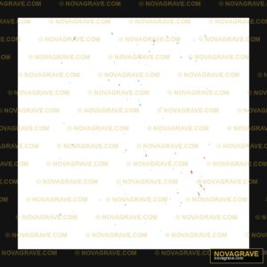 A Black Sky With A Few Small Stars Nature Botanical 34 - DTF Transfer Design