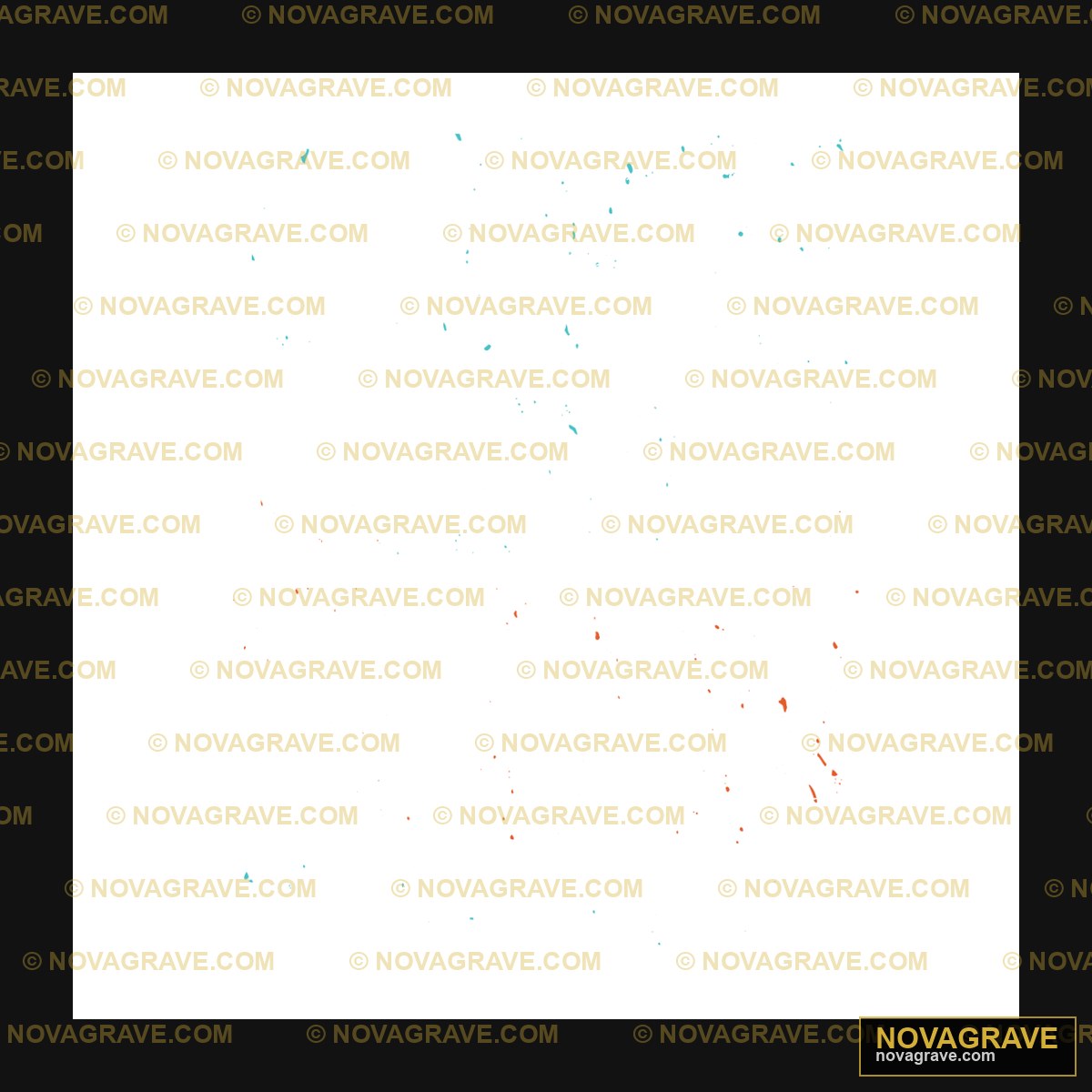 A Black Sky With A Few Small Stars Nature Botanical 34 - DTF Transfer Design
