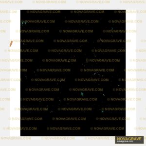 A Black Sky With A Few Stars Nature Botanical 3 - Design DTF