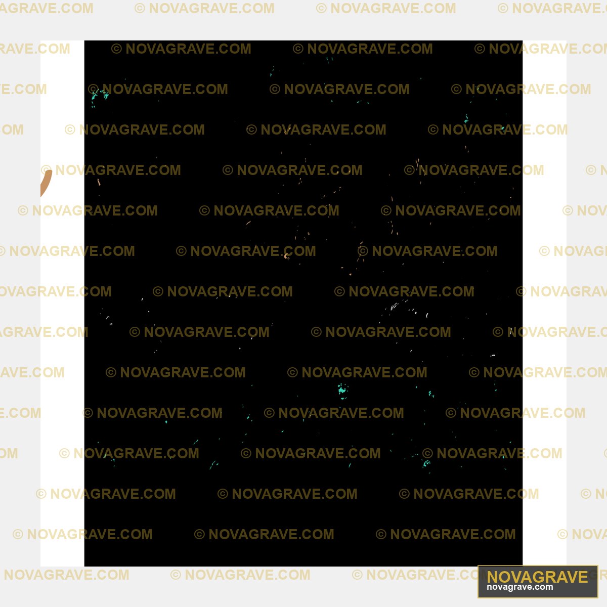 A Black Sky With A Few Stars Nature Botanical 3 - DTF Transfer Design