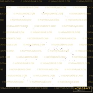 A Black Sky With A Few White Stars Nature Botanical 26 - DTF Transfer Design