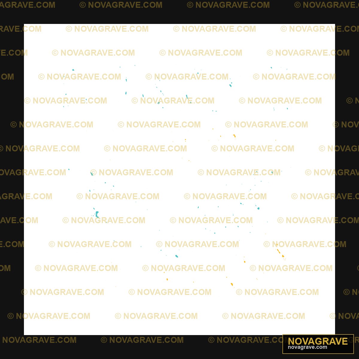 A Black Sky With A Few Yellow And Blue Stars Nature Botanical 3 - Design DTF