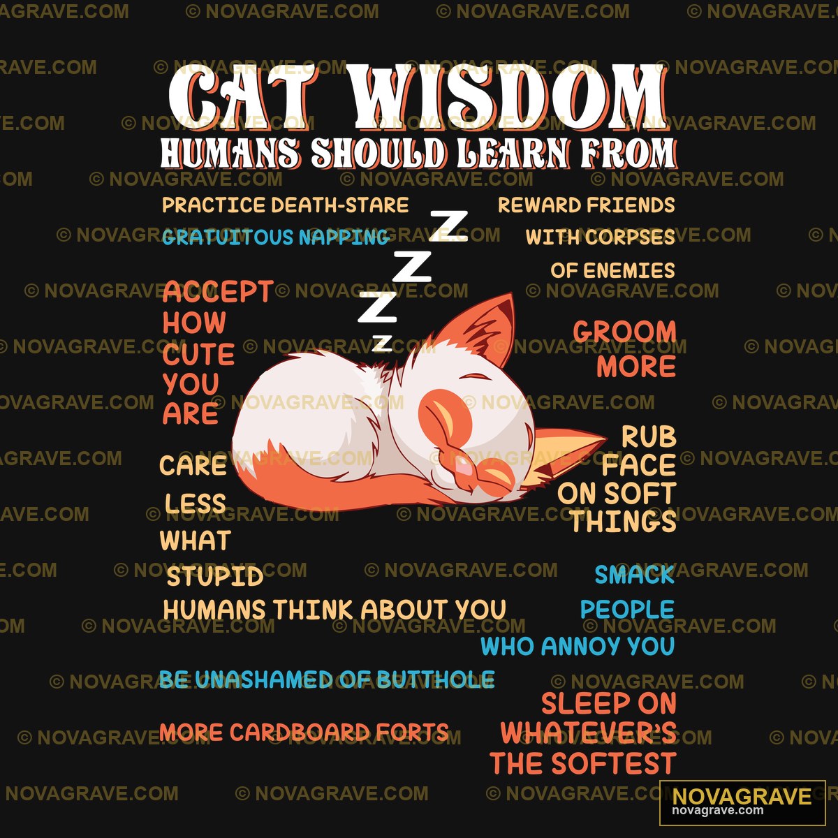 A Cat Is Sleeping On The Ground With The Word Animals Wildlife - DTF Transfer Design