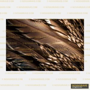 A Close Up Of A Feather On A Black Background Nature Botanical - DTF Transfer Design