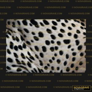 A Close Up Of A Leopards Fur Animals Wildlife - DTF Transfer Design