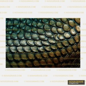 A Close Up Of A Snake Skin Animals Wildlife 3 - DTF Transfer Design