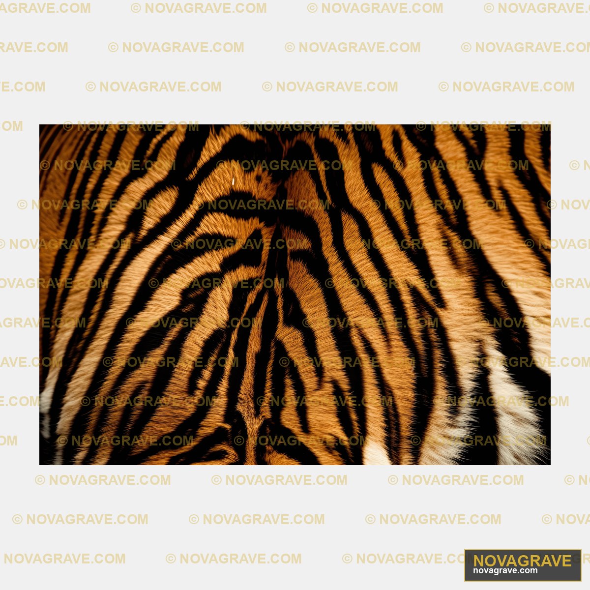 A Close Up Of A Tigers Face Animals Wildlife - DTF Ontwerp