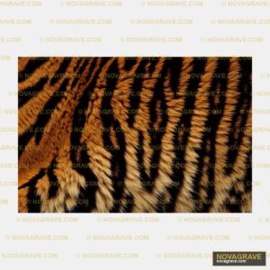 A Close Up Of A Tigers Fur Animals Wildlife - DTF Ontwerp