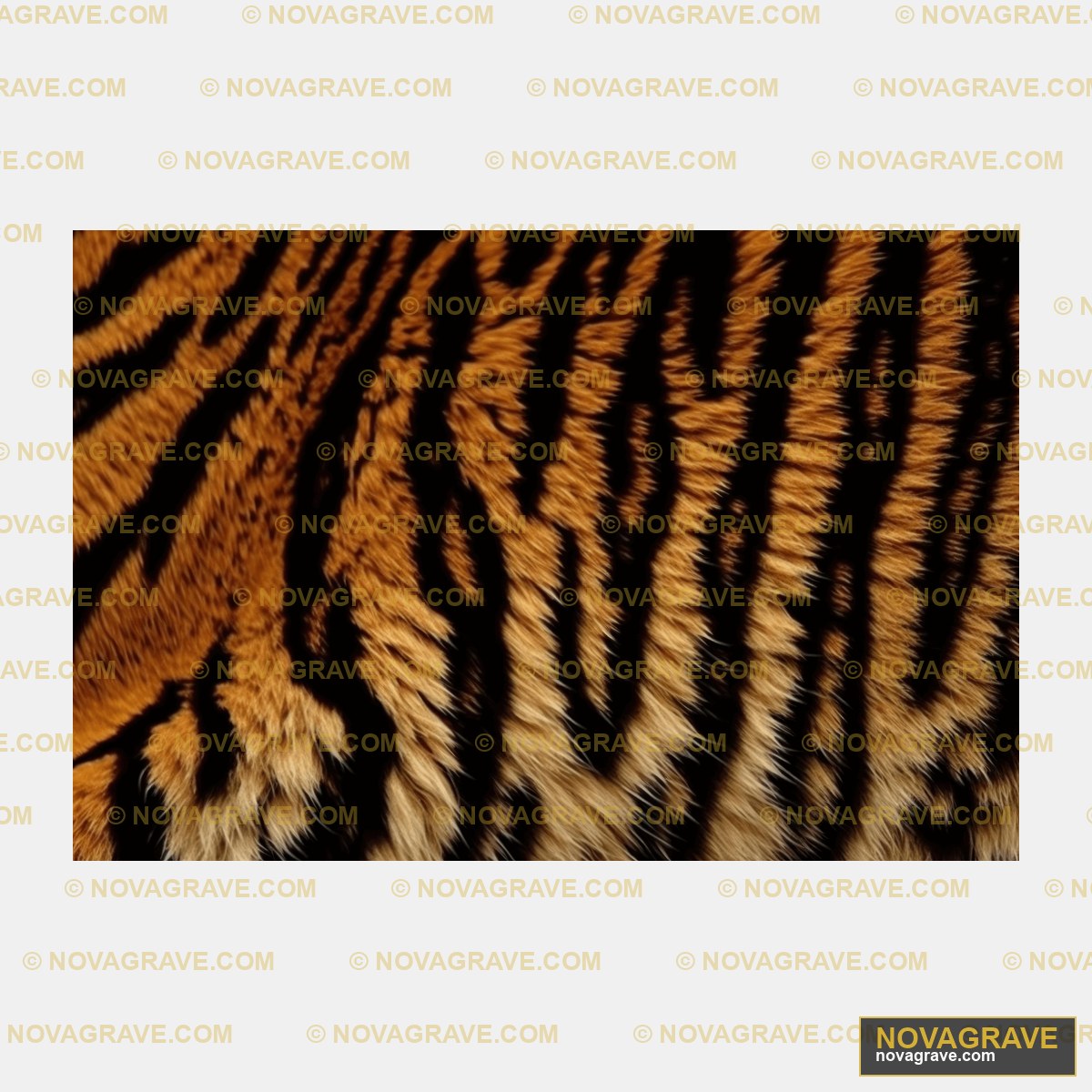 A Close Up Of A Tigers Fur Animals Wildlife - DTF Ontwerp