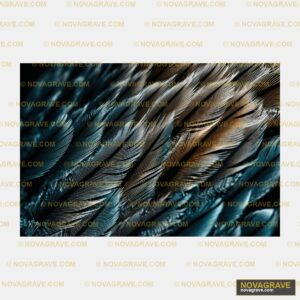 A Close Up Of Feathers Nature Botanical - DTF Transfer Design