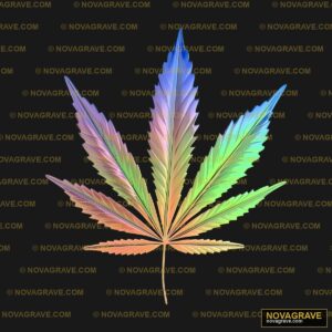 A Colorful Leaf On A Black Background Nature Botanical - Design DTF