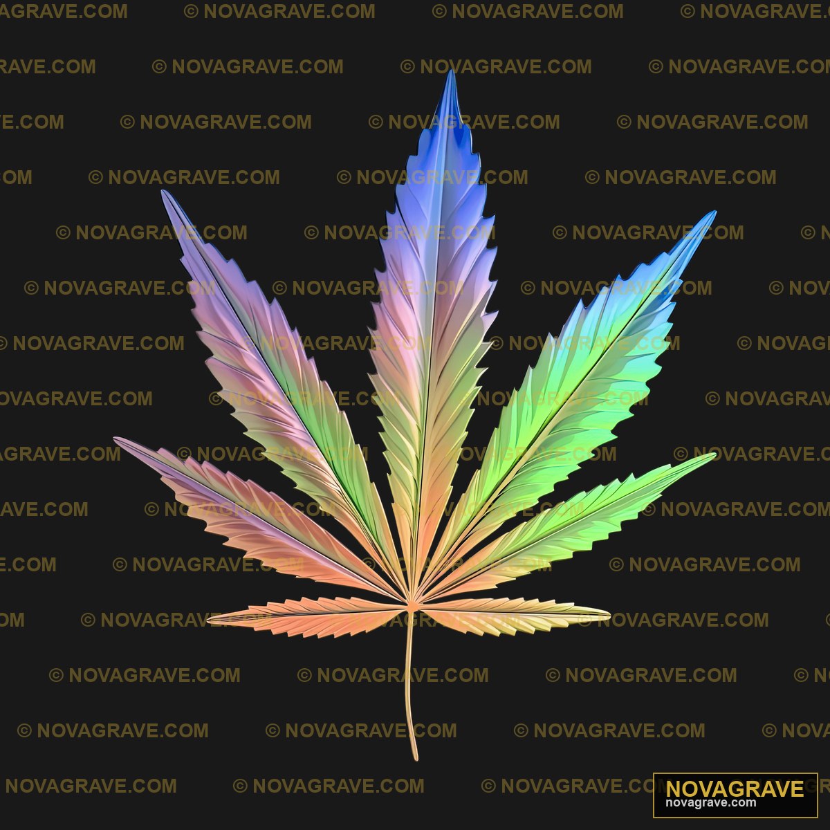 A Colorful Leaf On A Black Background Nature Botanical - Design DTF