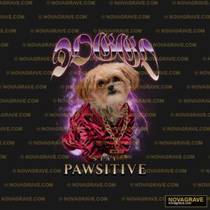 A Dog Wearing A Red And Black Shirt Animals Wildlife - DTF Transfer Design