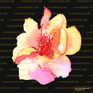 A Flower With A Black Background Nature Botanical 2 2 - DTF Transfer Design