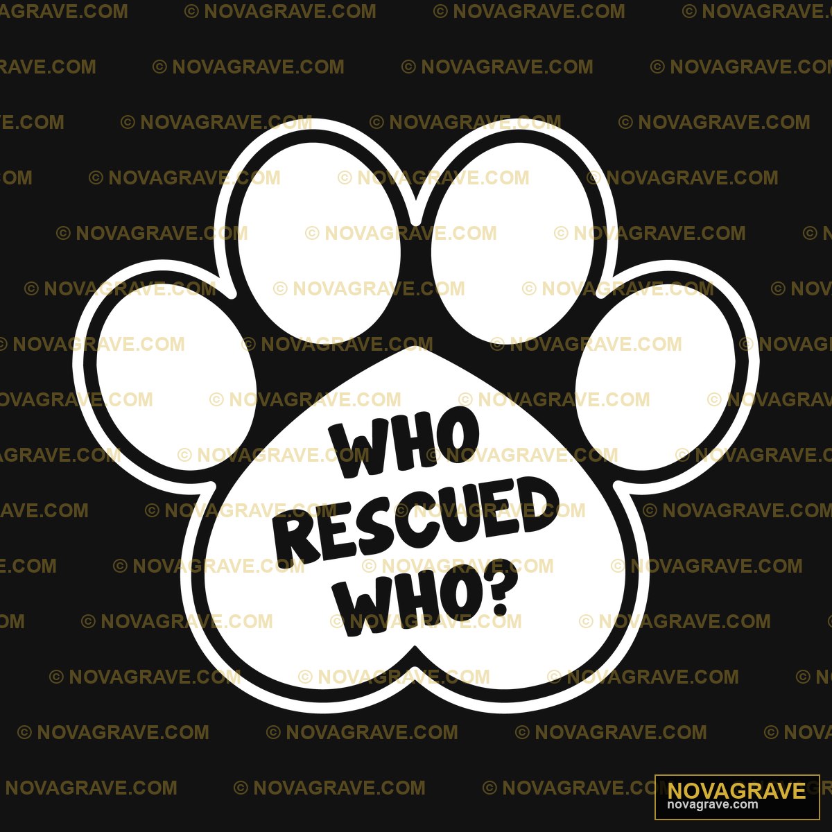 A Paw With The Words Who Rescued Who Typography Slogans - DTF Transfer Design