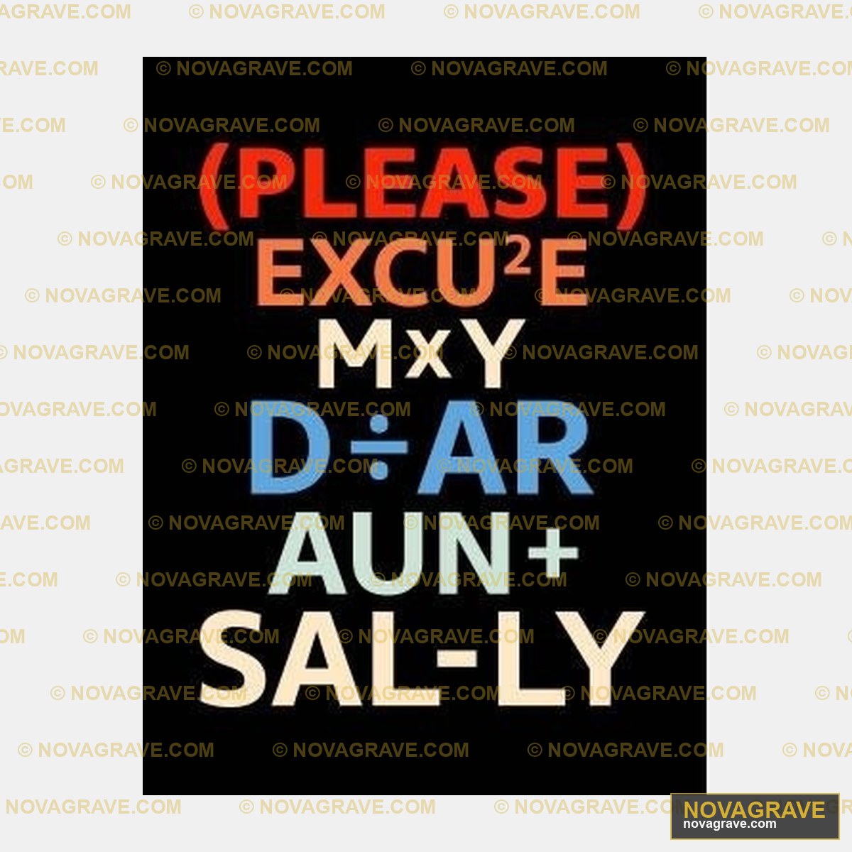 A Poster With The Words Please Excuse My Dear Family Kids - DTF Transfer Design