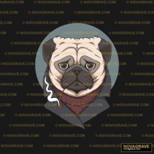 A Pug Wearing A Scarf And A Hat Animals Wildlife - DTF Transfer Design
