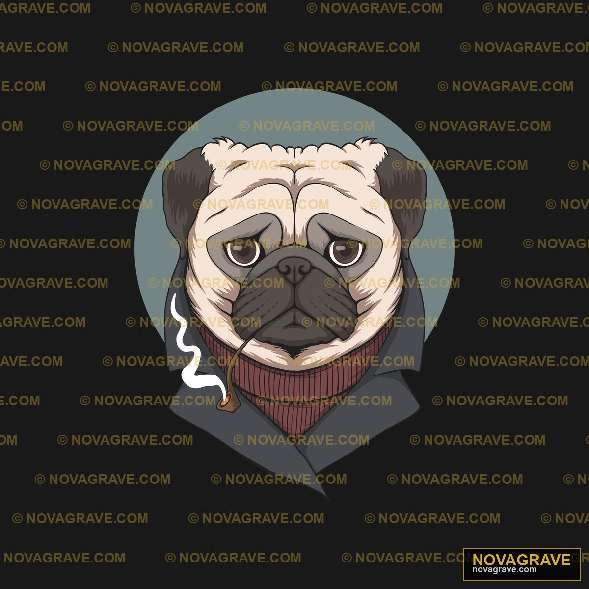 A Pug Wearing A Scarf And A Hat Animals Wildlife - Design DTF