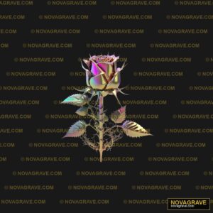 A Rose With A Black Background Other Designs - DTF Ontwerp