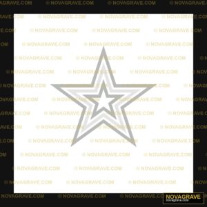 A Silver Star On A Black Background Nature Botanical - Design DTF