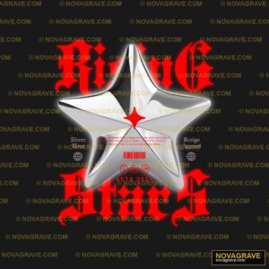 A Silver Star With Red Paint On It Nature Botanical - Design DTF
