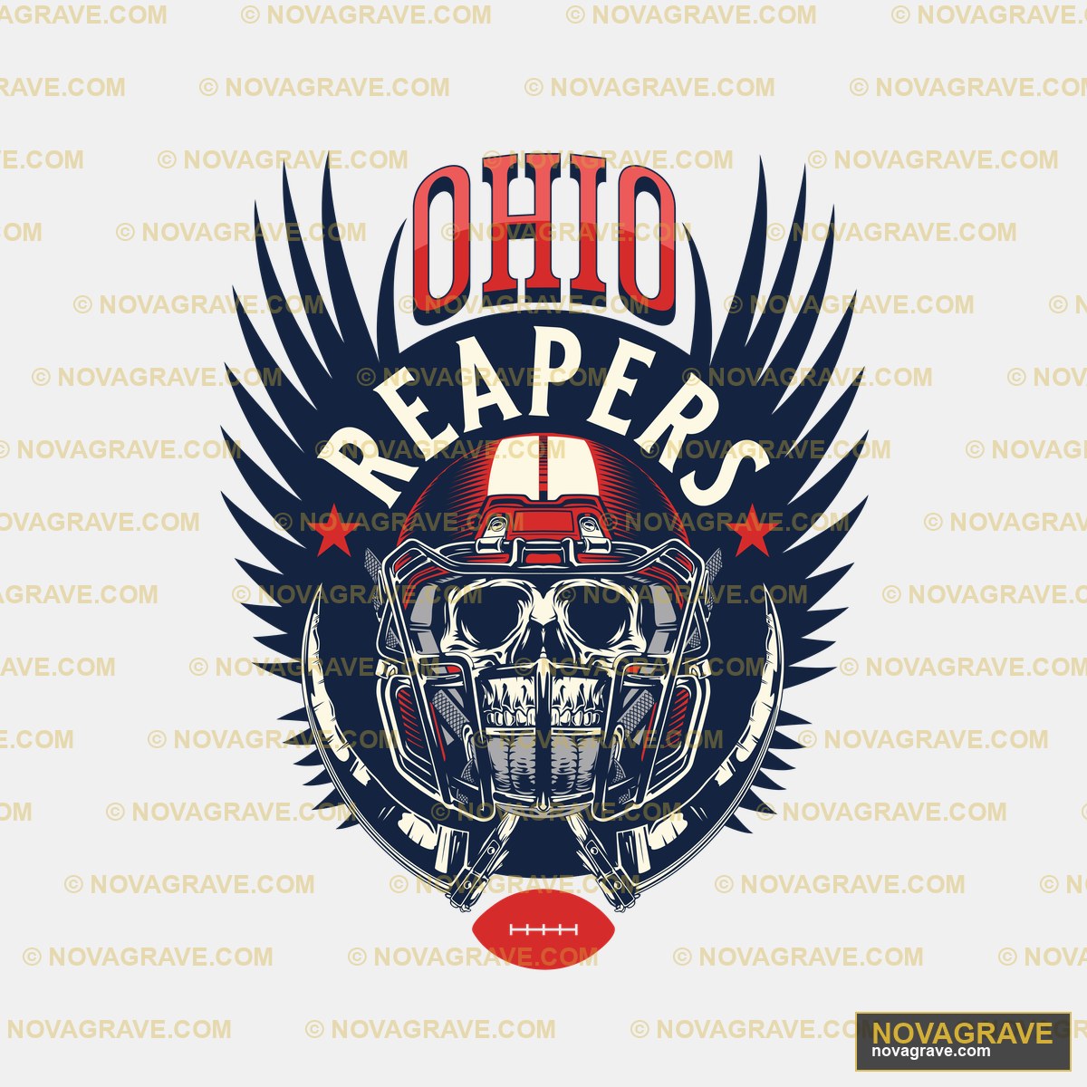 A Skull With A Helmet And Wings On It Streetwear Urban - DTF Transfer Design