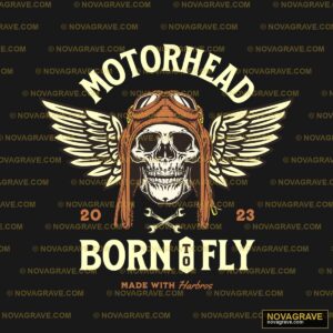 A Skull With Wings And A Helmet On It Streetwear Urban - DTF Transfer Design