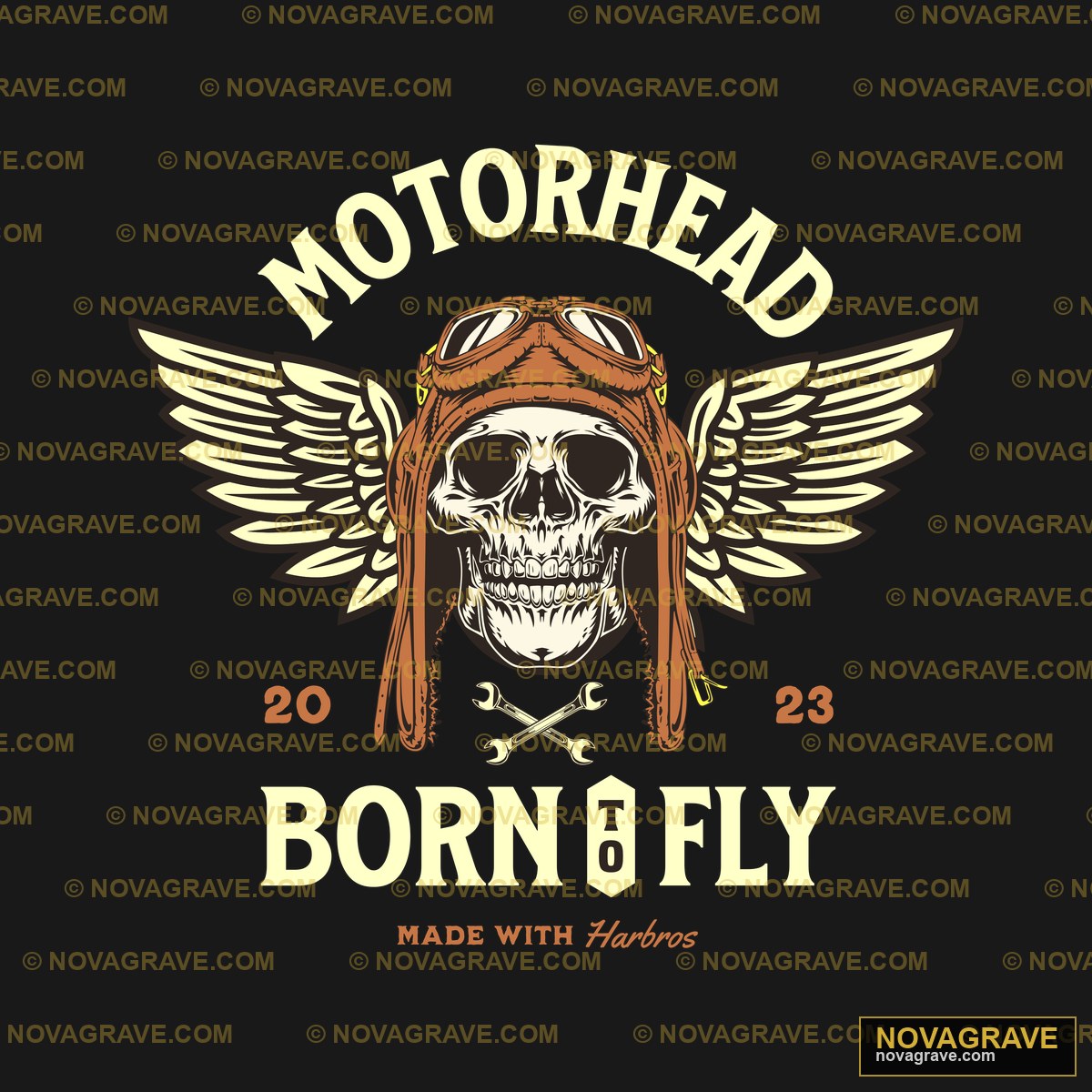 A Skull With Wings And A Helmet On It Streetwear Urban - Design DTF