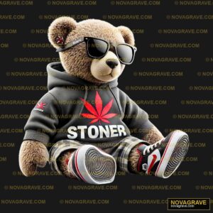 A Teddy Bear Wearing A Hoodie And Sunglasses Animals Wildlife 6 - Design DTF