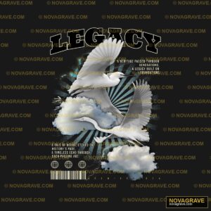 A White Bird Flying Through A Cloudy Sky Animals Wildlife - Design DTF