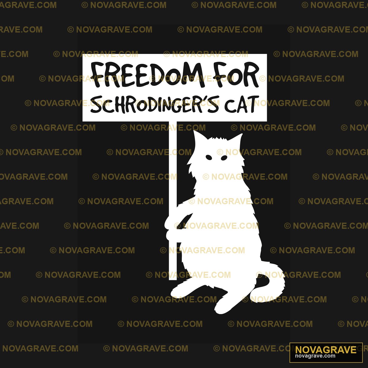 A White Cat Sitting On Top Of A Sign Animals Wildlife - DTF Ontwerp