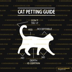 Cat T Shirt Cat T Shirt Cat T Cat Animals Wildlife - DTF Ontwerp