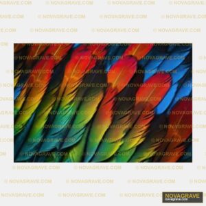 Colorful Feathers Wallpaper Mural Nature Botanical DTF Design