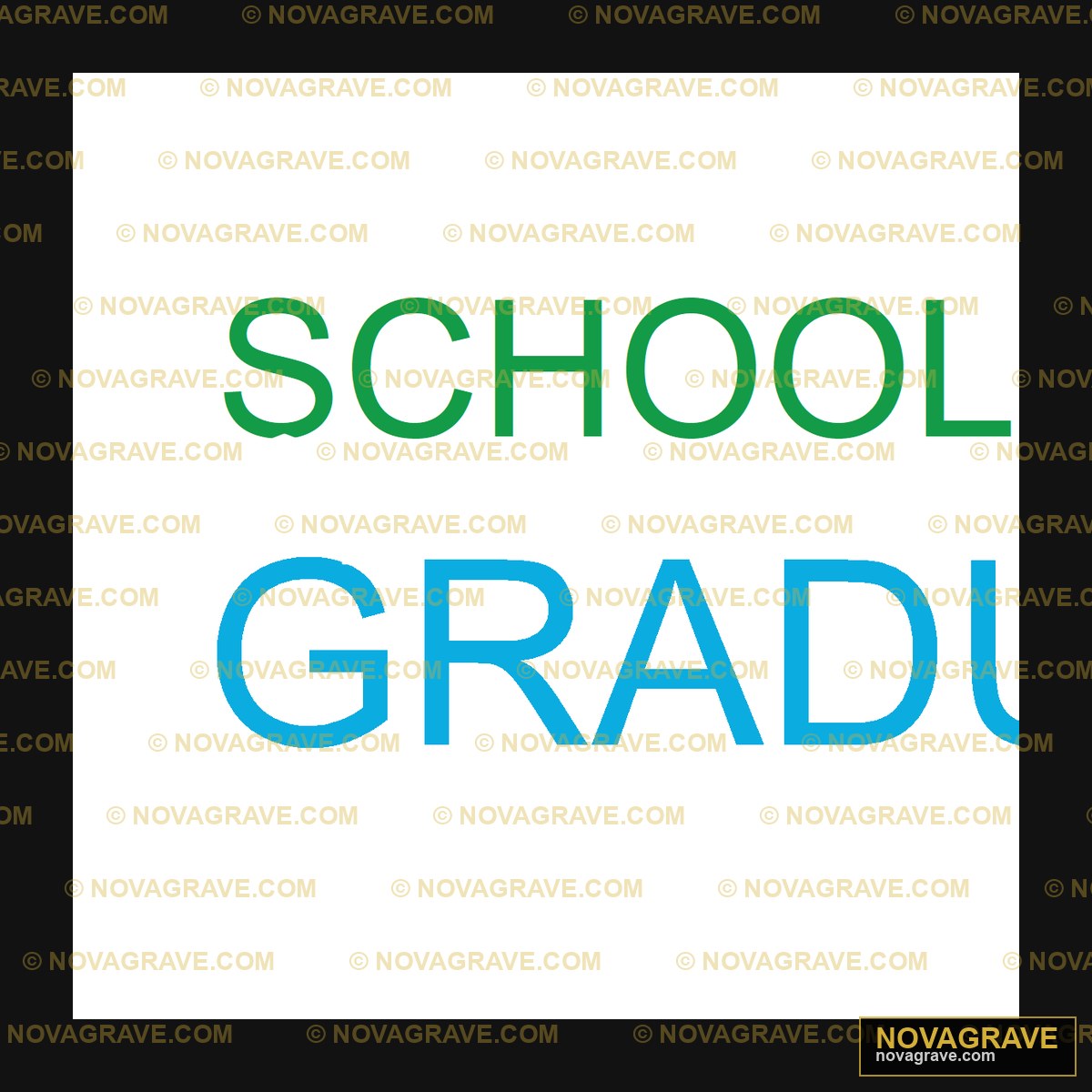 I Survived School For The Grad Other Designs - DTF Transfer Design