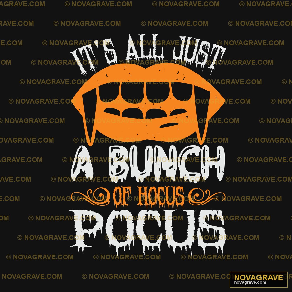 Its All Right At The Border Circus Other Designs - Design DTF