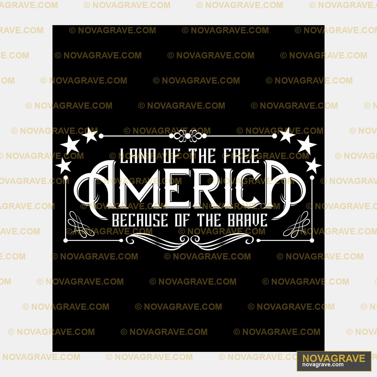 Land Of The Mero Because Of The Brave Patriotic Military - DTF Ontwerp
